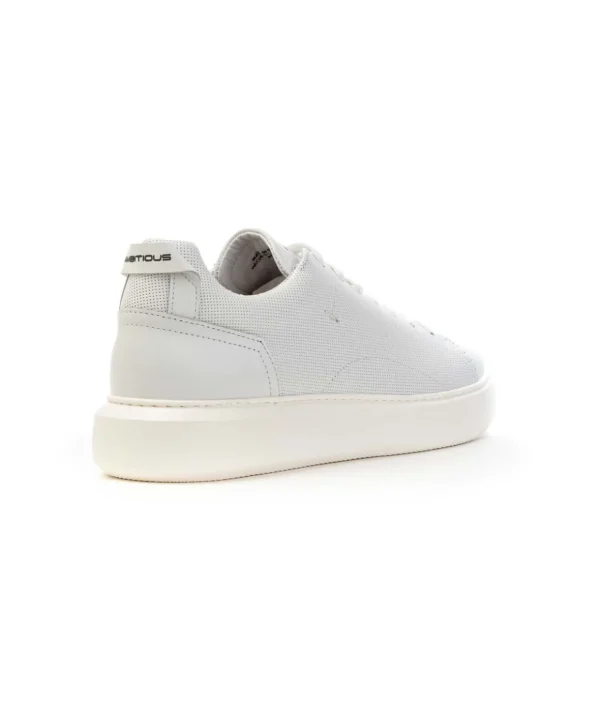 Ambitious Scarpa Sneakers 10443a-4838am.2 man