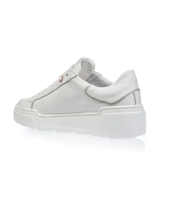 ED PARRISH FALD BE03 ALESSIA SNEAKER