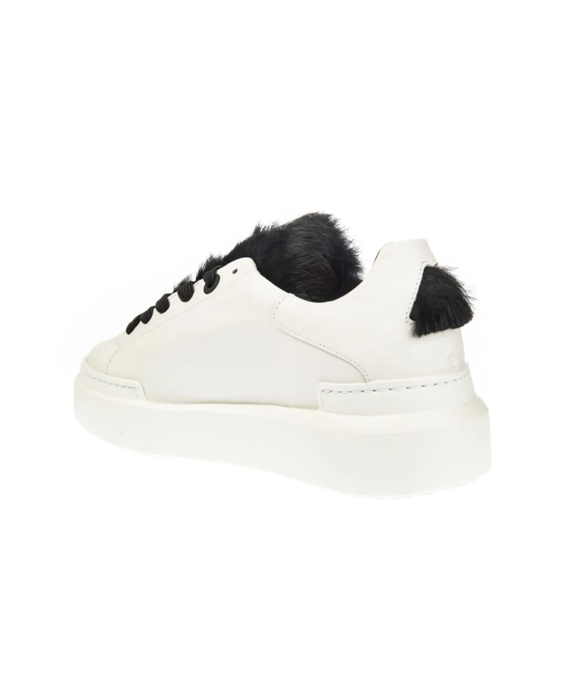 ed_parrish_lald_sneaker_l_2-1.webp ED PARRISH LALD SNEAKER LACCI F.DO CASSE