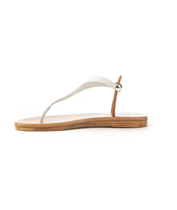 Inuovo Sandalo Infradito 444009 Donna