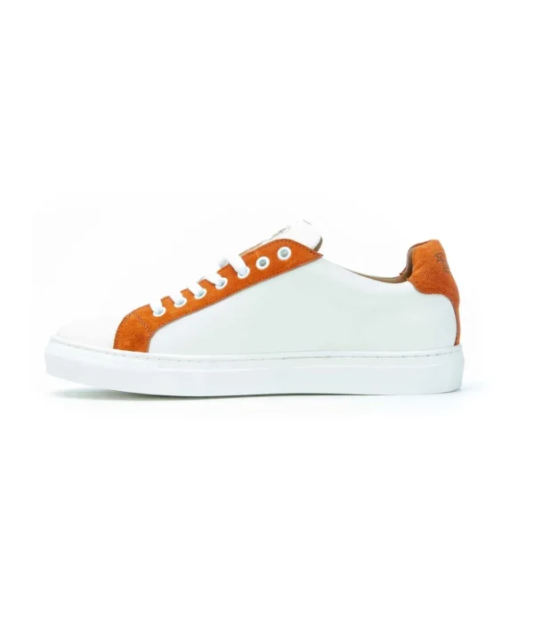Saxone 1213 Sneakers Lacci uomo